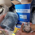 Поршень Perkins STD RG (с кольцами)